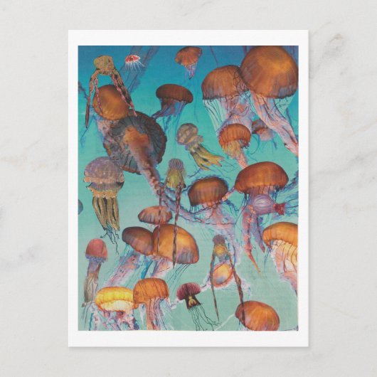 Dibble_Artworks_126_Jellies Briefkaart (Voorkant)
