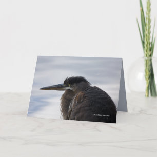 Dicht bij een reiger kaart