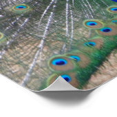 dicht bij elkaar poster (Hoek)