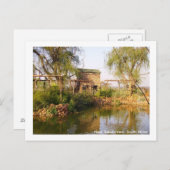 Dichtbij Babsfontein, Zuid-Afrika Briefkaart (Voorkant / Achterkant)