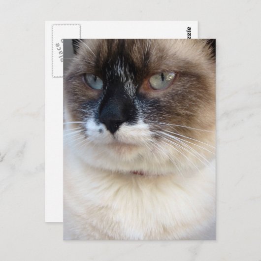 Dichtbij Briefkaart (Voorkant / Achterkant)