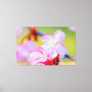 Dichtbijzicht van Roze Sakura Kersenbloesems Canvas Afdruk
