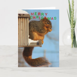 Dichte omhooggaand van de Eekhoorn van de Staart Feestdagen Kaart