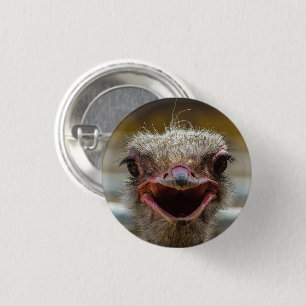 Dichte Ostrich Face Ronde Button 3,2 Cm