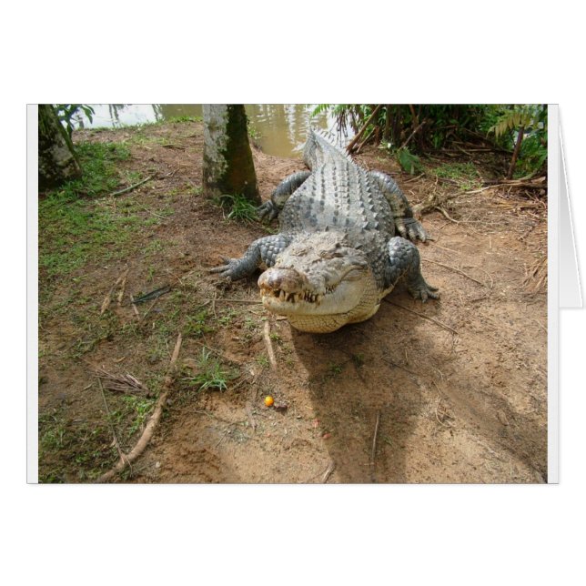 Dichte Vraag (Voorkant Horizontaal)