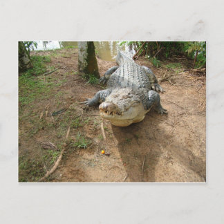 Dichte Vraag Briefkaart