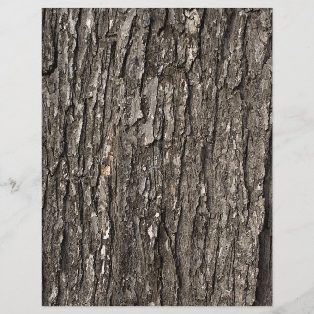 Dick Tree Bark (Voorkant)