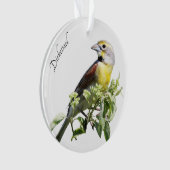 Dickcissel Bird (devant)