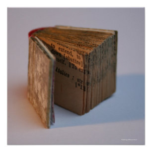 DicofinAngle Engels-Frans Miniatuur Book poster Perfect Poster