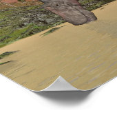 Dicraeosaurus dinosaur drink 3D rendering Poster (Hoek)