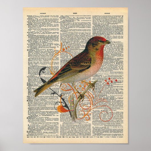 dictionary Art Red Oranje Bird Art Poster (Voorkant)