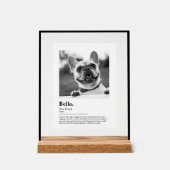 Dictionnaire de définition de photo de chien perso (Recto)