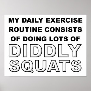 Diddly Squats Grappige Poster