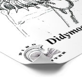 Didymoceras stevensoni poster (Hoek)