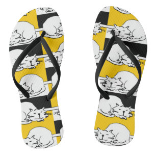 Die Cat slaapt. Teenslippers