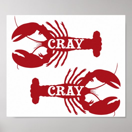 Die Cray Crayfish Crustacean Poster (Voorkant)