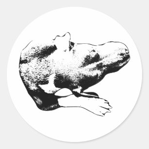 Die-cut overhead pup-pitbull mix ronde sticker
