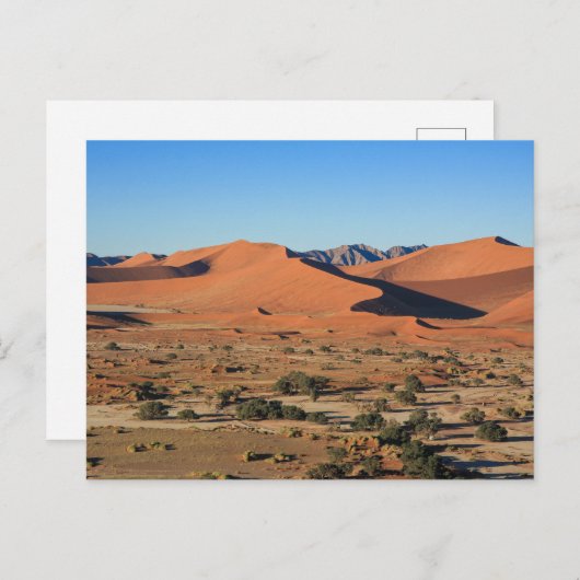 Die Dünen des Sossusvlei in Namibia Postkarte Briefkaart (Voorkant / Achterkant)