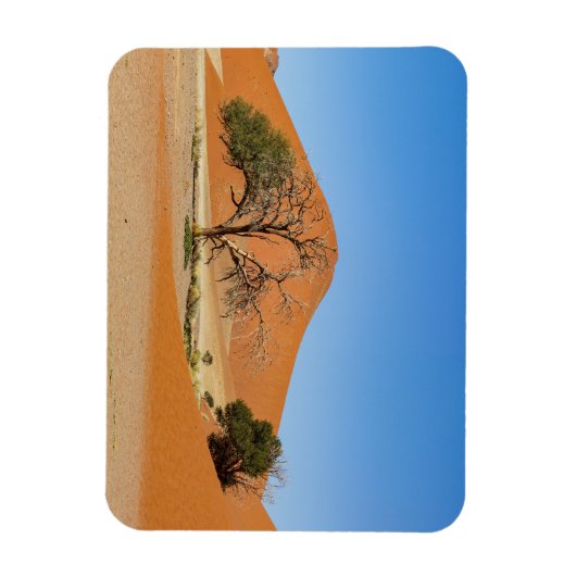 Die Dünen des Sossusvlei in Namibië Magneet (Verticaal)