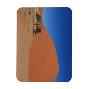 Die Dünen des Sossusvlei in Namibië Magnet Magneet