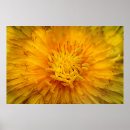 Die kleur geel poster (Voorkant)