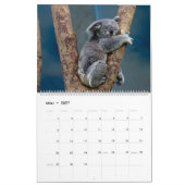 Die Koalas Kalender (Mar 2027)