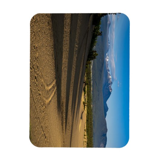 Die Wüste von Carcross in Kanada Magnet Magneet (Verticaal)