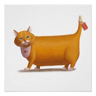 Dieetvrije kat perfect poster