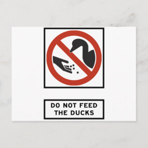 Dien niet aan het bord van de Eenden Briefkaart