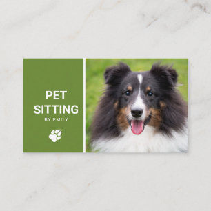 Dienst voor het oppassen op honden - Foto van een Visitekaartje