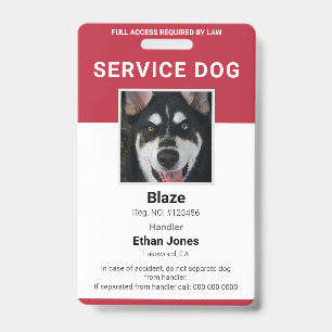 Diensthond Foto Rood Badge