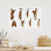 Diep- en kernstabiliserende spieren Anatomie Poste Poster (Keuken)