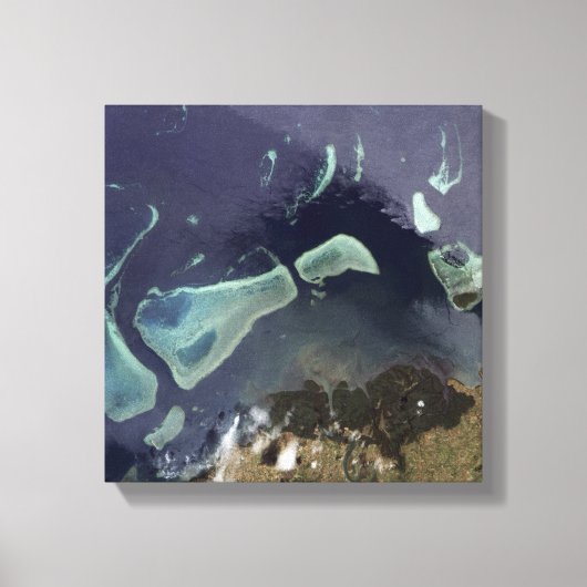 Diep groen bos op het land canvas afdruk (Voorkant)