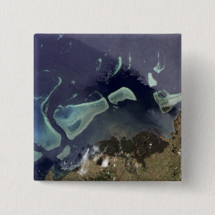 Diep groen bos op het land vierkante button 5,1 cm