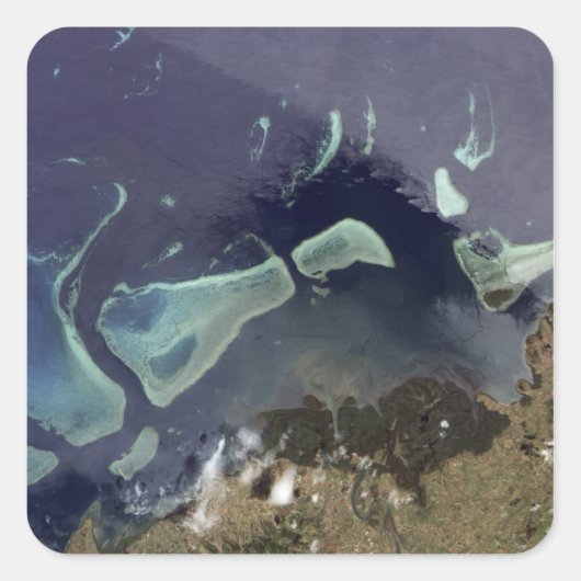 Diep groen bos op het land vierkante sticker (Voorkant)