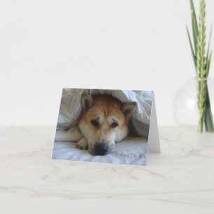Diep in gedachten schattige hond die aan je denkt kaart