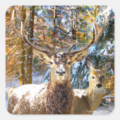 "Diep in het bos" Vierkante Sticker (Voorkant)