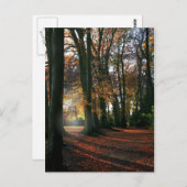 Diep in het hart Briefkaart (Voorkant / Achterkant)