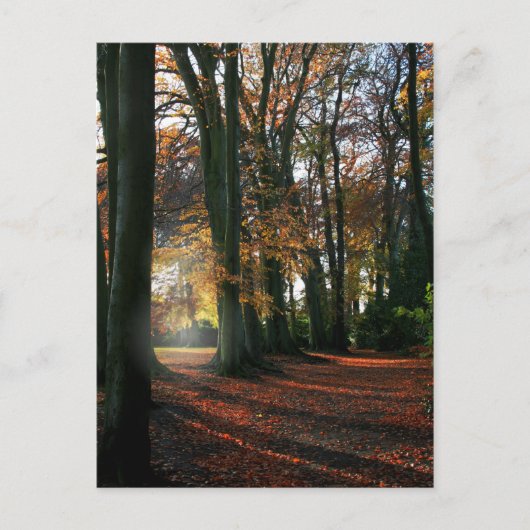 Diep in het hart Briefkaart (Voorkant)