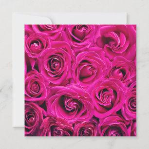 Diep Roze Bloeiende Rozen Kaart
