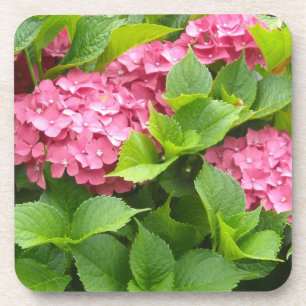 Diep Roze Hortensia's Drankjes Onderzetter