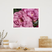 Diep Roze Rozen Poster (Keuken)