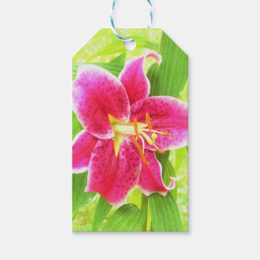 Diep Roze Stargazer Lily op Lime Green Cadeaulabel (Voorkant)