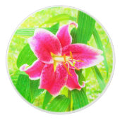 Diep Roze Stargazer Lily op Lime Green Keramische Knop (Voorkant)