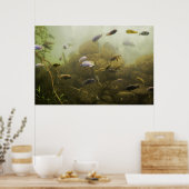 Diep van binnen poster (Keuken)