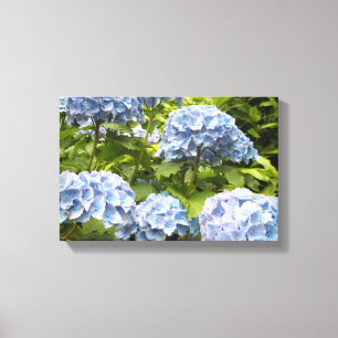 Diepblauwe Hortensia's Canvas Afdruk