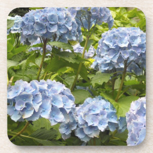 Diepblauwe Hortensia's Onderzetter
