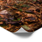 Diepe Bossen Pitstop Poster (Hoek)