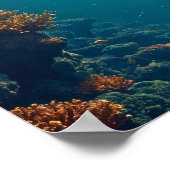 Diepe onderwaterwereld poster (Hoek)