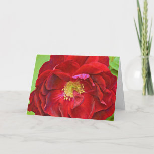 Diepe Red Rose Art Note Kaart